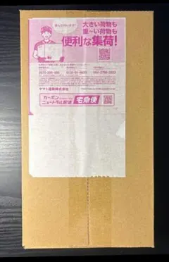 未開封シュリンク付き　ヒロシマ　スペシャルbox　ポケモンセンター