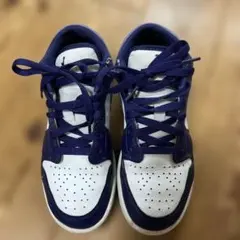 Air Jordan NIKE キッズスニーカー パープル/ホワイト 23cm