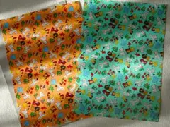 Item thumbnail for item 02885979-1514-4f0e-82d0-e243a067a39b