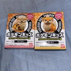 ポケモンキッズ ウィンディ ガーディ メガミュウツーX&メガミュウツーＹ編
