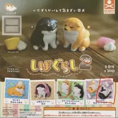 柴犬 カプセルトイ