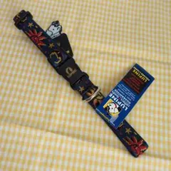 Item thumbnail for item 1e4ed9d5-bc4d-41fa-910f-d3cbac1b437f