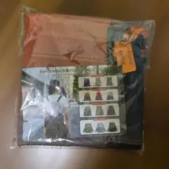 Bandirman 巾着バックパック グラデーション
