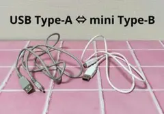 ケーブル USB 2.0 Type-A ⇔ mini Type-B 2本セット