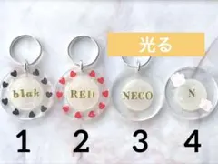 Item thumbnail for item c667c2ad-43c3-44c8-8cff-2841d8954ae4