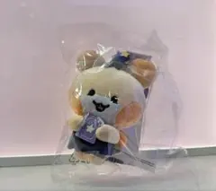ATEEZ mighteez 韓国 popup ぬいぐるみ キーリングホンジュン