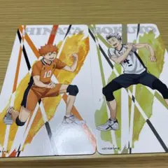 日向翔陽 木兎光太郎カードセット