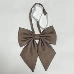 Item thumbnail for item 4b92defe-2e5c-4d01-bd7b-4591e0b46b4e