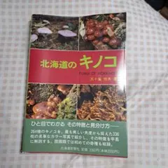 Item thumbnail for item db30fefe-ca03-4ab3-8f4c-18284d115da1