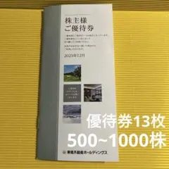 東急不動産ホールディングス　株主優待 13枚 2025.12月到着