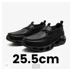 Mizuno Wave Prophecy 25.5cmのサムネイル