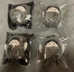 ハイキュー 赤葦京治 くるみたぴぬい