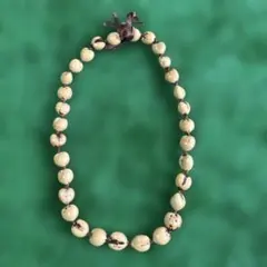 Item thumbnail for item 3bcddfa4-94a0-41ce-8185-a9e113c37f8d