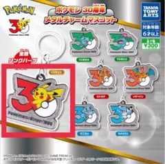【新品・未開封】ポケモン 30周年 メタルチャームマスコット