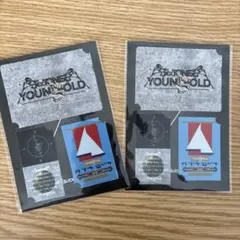 SixTONES YOUNGOLDツアーステッカー 2個セット