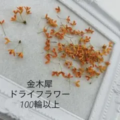 ドライフラワー 押し花