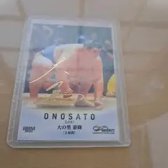 Item thumbnail for item 60a47170-97a3-4b72-aa66-74ea1af7cc19