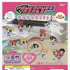 パワーパフガールズ　ガチャガチャ　まめキャラスタンド