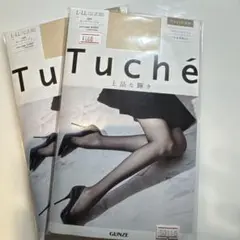 【2足セット】Tuché L-LLシャイニーメッシュ ストッキング