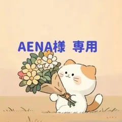 AENA様　専用(9/2迄)