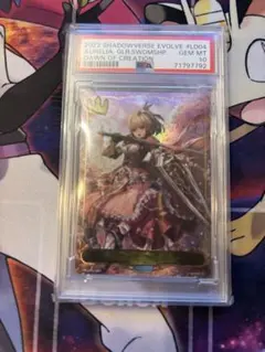 2022 SHADOWVERSE EVOLVE PSA10 ジルニトラ 2022 SHADOWVERSE EVOLVE PSA10 ジルニトラ - メルカリ