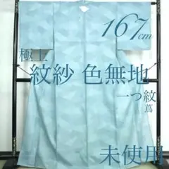 Item thumbnail for item 4a52e935-29bc-4d2a-86d8-028d6562c9c4