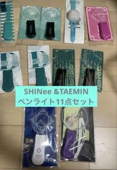 TAEMIN ペンライトカバー セット TAEMIN Ephemeral Gaze ペンライトカバー