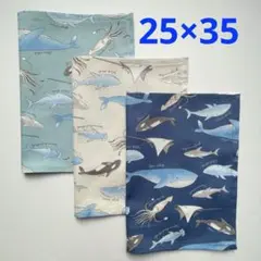 Item thumbnail for item efd99af2-5e86-4678-8343-7c33f2a57294