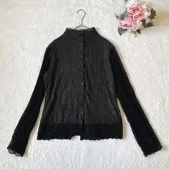 長袖シアーブラウス　ハイネック　レース　シワ加工　日本製　エレガント　38