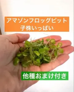 ヒデ③様 リクエスト 3点 まとめ商品