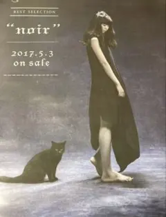 Aimer DAWN 告知ポスター ポスター Aimer エメ グッズ - メルカリ