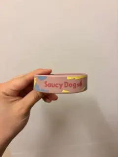 Saucy Dogs ラバーバンド