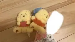 ディズニーストア　くまのプーさんぬいぐるみマスコット　2点セット