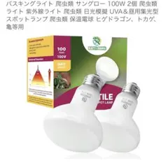 Item thumbnail for item ffd60742-d034-499e-8d7b-0ddab6f80ba6