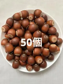 くぬぎ あべまき どんぐり 50個