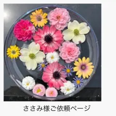 『ささみ様専用』セールご依頼ページ