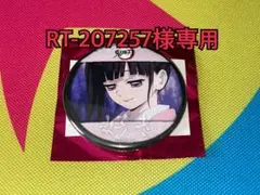 RT-207257様専用