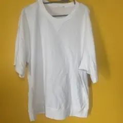 Item thumbnail for item e97f7e1e-a696-49b6-8d38-4228905e6007