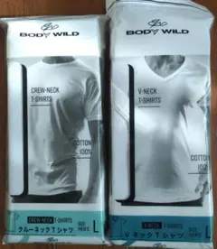 Item thumbnail for item d26aa158-5e5f-40d8-a9af-29939453b4cc