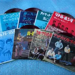 ビーチ・ボーイズ　本邦初回シングル8枚/赤盤5枚 2026年最新】ビーチボーイズ 赤盤の人気アイテム - メルカリ