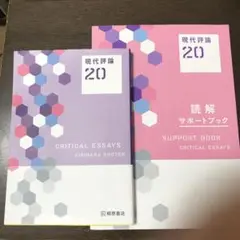現代評論20 桐原書店