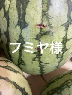 スイカ（傷あり）