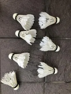 Item thumbnail for item ff73ddea-876f-4ca1-8143-651ad94726e5