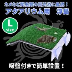 亀 爬虫類 かめ 浮き島 水槽台 ドック浮動 カメ桟橋 亀の日なたぼっこ台 水槽のサムネイル