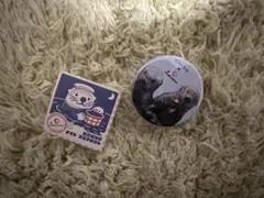 ラッコ　メイちゃん　キラちゃん　限定　レア　缶バッチ　シール