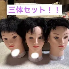 カットウィッグ ウィッグ・エクステ