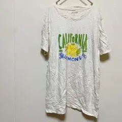 ジェイクルー【L】ロゴ Tシャツ クルーネック半袖 白 コットン カジュアルのサムネイル