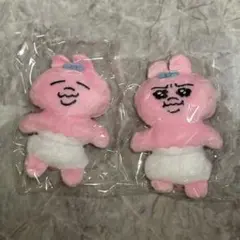 おぱんちゅうさぎ かぷっこふれんず2