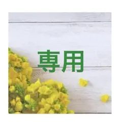 モーメント　ミモザ総柄　約110センチ