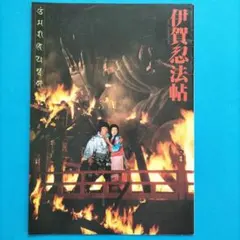 伊賀忍法帖 映画パンフレット A4サイズ